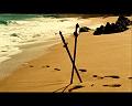 PDVD_5056