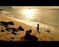 PDVD_5114
