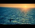 PDVD_5269