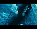 PDVD_669