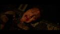 PDVD_073.jpg