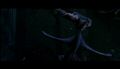 PDVD_1056.jpg