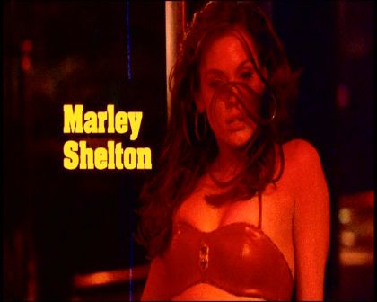 PDVD_009.jpg