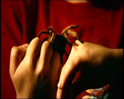 PDVD_1271.jpg