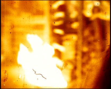 PDVD_1652.jpg
