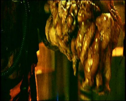 PDVD_2048.jpg