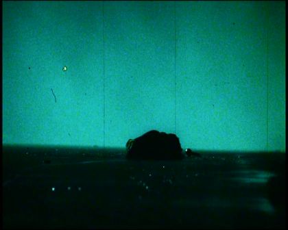 PDVD_506.jpg