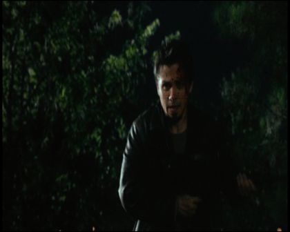 PDVD_595.jpg
