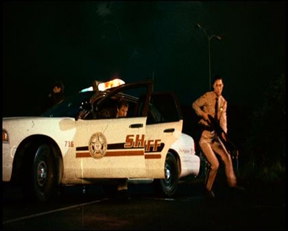 PDVD_943.jpg