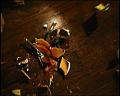 PDVD_1072