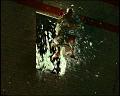 PDVD_1078