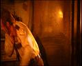 PDVD_1622