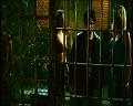 PDVD_1866