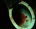PDVD_307