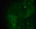 PDVD_592
