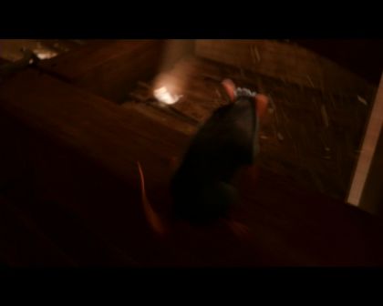 PDVD_375.jpg