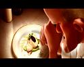 PDVD_1247