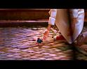 PDVD_1270