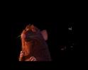 PDVD_1522