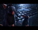 PDVD_1591