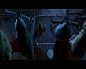 PDVD_1598