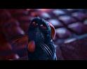 PDVD_1604