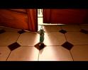 PDVD_1636
