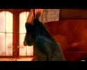 PDVD_1647