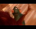 PDVD_1652