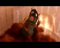 PDVD_1682