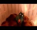 PDVD_1690