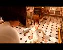PDVD_1703