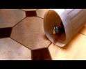 PDVD_1715