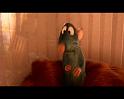 PDVD_1728