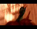 PDVD_1846