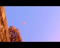 PDVD_1971