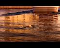 PDVD_1994