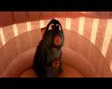 PDVD_2099