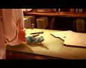 PDVD_2122