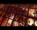 PDVD_2130