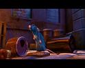 PDVD_2137