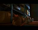 PDVD_2167