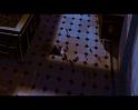 PDVD_2169