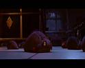 PDVD_2181