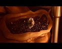 PDVD_2187