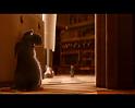 PDVD_2203