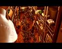 PDVD_2207