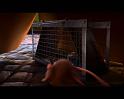 PDVD_2263