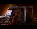 PDVD_2264