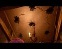 PDVD_236